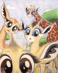 Size: 802x997 | Tagged: safe, artist:thefriendlyelephant, oc, oc only, oc:kekere, oc:nuk, oc:salma, oc:zeka, antelope, dik dik, gazelle, gerenuk, giraffe, :o, acacia tree, africa, animal in mlp form, big ears, big eyes, cloud, cloven hooves, curious, cute, depth of field, fluffy, frown, grass, head tilt, hidden camera, horns, long neck, looking at you, non-pony oc, pondering, raised eyebrow, sky, traditional art, tree, unsure, what's this?