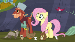 Size: 1122x632 | Tagged: safe, screencap, fluttershy, sprig hooffield, bird, chipmunk, duck, earth pony, ferret, mouse, pegasus, pony, squirrel, g4, the hooffields and mccolts, animal, braid, braided tail, clothes, critters, female, hooffield family, house finch, johnny appleseed, male, mare, pot, stallion