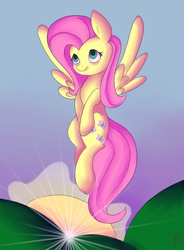 Size: 4200x5700 | Tagged: safe, artist:gaabcio13, fluttershy, g4, absurd resolution, female, flying, solo, sunrise