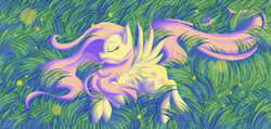 Size: 1024x489 | Tagged: safe, artist:cinder42, fluttershy, pegasus, pony, g4, cute, eyes closed, female, grass, mare, on side, shyabetes, solo