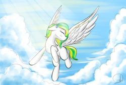 Size: 1600x1080 | Tagged: safe, artist:phuocthiencreation, oc, oc only, pegasus, pony, chest fluff, cloud, crepuscular rays, eyes closed, female, floppy ears, flying, mare, sky, solo