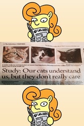 Size: 683x1024 | Tagged: safe, carrot top, golden harvest, cat, earth pony, pony, g4, exploitable meme, female, mare, meme, newspaper, newspaper meme