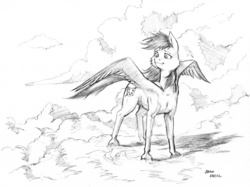 Size: 1100x822 | Tagged: safe, artist:baron engel, oc, oc only, pegasus, pony, cheek fluff, grayscale, monochrome, pencil drawing, solo, traditional art