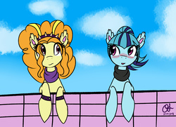 Size: 4140x3000 | Tagged: dead source, safe, artist:owlisun, adagio dazzle, sonata dusk, earth pony, pony, equestria girls, g4, 2016, blush lines, blushing, clothes, cloud, colored pinnae, duo, duo female, ear fluff, earth pony adagio dazzle, earth pony sonata dusk, equestria girls ponified, female, lesbian, looking at each other, looking at someone, ponified, scarf, ship:sonagio, shipping, sky