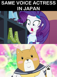 Size: 620x840 | Tagged: safe, rarity, equestria girls, g4, anime, exploitable meme, japanese, japanese dub, meme, mikoi sasaki, same voice actor, shiba inuko-san