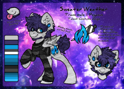 Size: 1121x809 | Tagged: dead source, safe, artist:php166, oc, oc only, oc:sweater weather, pegasus, pony, clothes, cutie mark, facial hair, glasses, male, piercing, reference sheet, solo, stallion, sweater, text, transgender, wings