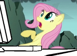 Size: 320x236 | Tagged: safe, screencap, fluttershy, dragonshy, g4, computer, female, reaction image, scared, solo