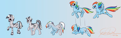 Size: 12500x4000 | Tagged: dead source, safe, artist:wolfyjacreddelicious, rainbow dash, pegasus, pony, zebra, g4, butt, female, gradient background, japanese reading order, mare, plot, solo, species swap, transformation, transformation sequence, zebrafied