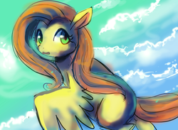 Size: 1280x937 | Tagged: safe, artist:cherivinca, fluttershy, g4, airborne, female, looking at you, sky, solo