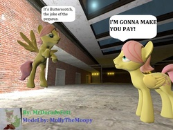 Size: 800x600 | Tagged: safe, fluttershy, pegasus, pony, g4, 3d, butterscotch, discorded, gmod, rule 63, self ponidox