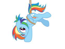 Size: 1280x960 | Tagged: safe, artist:nightmaremoons, rainbow dash, pegasus, pony, g4, alternate hairstyle, bondage, female, mare, rope, show accurate, solo