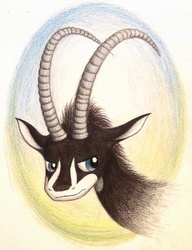 Size: 784x1019 | Tagged: safe, artist:thefriendlyelephant, oc, oc only, oc:sabe, antelope, giant sable antelope, angry, animal in mlp form, annoyed, horns, portrait, solo, traditional art