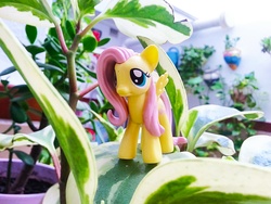 Size: 3264x2448 | Tagged: safe, artist:akakun, fluttershy, g4, figure, high res, irl, merchandise, photo, plant, solo