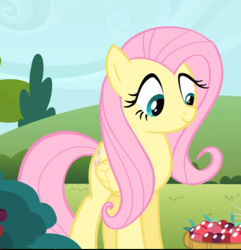 Size: 738x765 | Tagged: safe, screencap, fluttershy, g4, too many pinkie pies