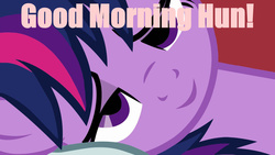 Size: 960x540 | Tagged: safe, twilight sparkle, g4, female, image macro, meme, morning ponies, pink text, solo, waking up