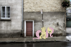 Size: 2151x1435 | Tagged: safe, artist:exibrony, artist:slb94, fluttershy, princess celestia, g4, door, france, irl, obey, photo, ponies in real life, poster, sad, street, street sign, vector, window