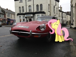 Size: 3264x2448 | Tagged: safe, artist:datnaro, artist:uponia, fluttershy, g4, barclay's, car, england, eyes closed, high res, irl, jaguar (car), jaguar e-type, photo, ponies in real life, smiling, solo, store, vector