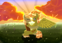 Size: 4092x2893 | Tagged: safe, artist:alexander56910, braeburn, spitfire, earth pony, pegasus, pony, g4, bedroom eyes, blushing, chest fluff, crepuscular rays, cuddling, duo, eyes closed, female, french kiss, grass, holding, kissing, male, mare, shipping, spitburn, spread wings, stallion, straight, sunset, wingboner, wingding eyes, wings