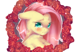 Size: 3000x2100 | Tagged: safe, artist:xkittyblue, fluttershy, g4, bust, colored pupils, crying, female, floppy ears, flower, high res, looking at you, portrait, rose, solo, turning