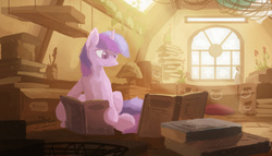 Size: 2000x1142 | Tagged: safe, artist:fuzzyfox11, twilight sparkle, g4, attic, book, crepuscular rays, female, reading, solo