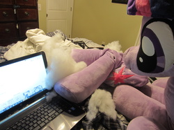 Size: 4000x3000 | Tagged: safe, artist:plushwaifus, twilight sparkle, alicorn, pony, g4, computer, female, irl, laptop computer, mare, microsoft windows, photo, plushie, there can be only one, twilight sparkle (alicorn), windows 10