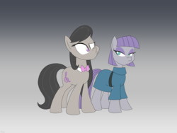 Size: 2400x1800 | Tagged: safe, artist:mofetafrombrooklyn, maud pie, octavia melody, earth pony, pony, g4, bowtie, clothes, female, friendshipping, gradient background, mare