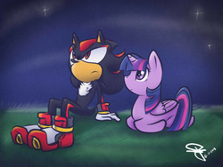 Size: 1400x1050 | Tagged: safe, artist:idolnya, twilight sparkle, alicorn, hedgehog, pony, g4, crossover, female, grass, male, mare, night, shadow the hedgehog, sonic the hedgehog, sonic the hedgehog (series), stargazing, stars, twilight sparkle (alicorn)