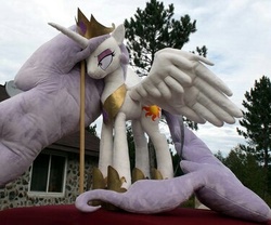 Size: 375x312 | Tagged: safe, artist:doublebackstitcharts, princess celestia, princess molestia, g4, crown, cute, day, irl, long hair, photo, plushie, solo, stick, tree, window