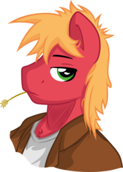 Size: 3820x5331 | Tagged: safe, artist:gray-gold, artist:nolycs, big macintosh, anthro, g4, male, mouth hold, portrait, solo