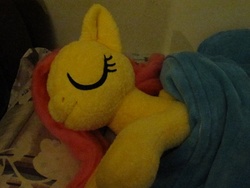 Size: 800x600 | Tagged: artist needed, safe, fluttershy, g4, cute, irl, photo, plushie, shyabetes, sleeping