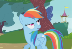 Size: 1115x768 | Tagged: safe, screencap, rainbow dash, pegasus, pony, dragonshy, g4, cropped, female, mare, rainbow derp, solo