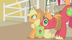 Size: 1366x768 | Tagged: safe, screencap, applejack, big macintosh, earth pony, pony, dragonshy, g4, male, saddle bag, stallion