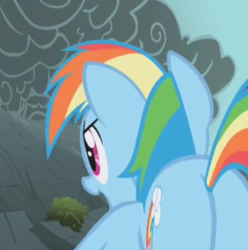 Size: 660x666 | Tagged: safe, screencap, rainbow dash, pony, dragonshy, g4, butt, cropped, female, mare, plot, rainbutt dash, solo