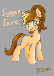 Size: 1748x2480 | Tagged: safe, artist:potzm, oc, oc only, oc:sugar cane, earth pony, pony, blushing, signature, simple background, solo, tongue out