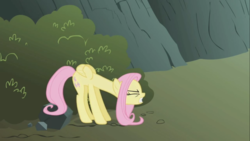 Size: 1366x768 | Tagged: safe, screencap, fluttershy, dragonshy, g4, my little pony: friendship is magic, female, invisible stallion, solo