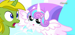 Size: 540x254 | Tagged: safe, artist:warhammer kombatant, edit, edited screencap, screencap, princess flurry heart, oc, oc:braveheart, alicorn, pony, g4, the crystalling, foal, reaction image, wtf