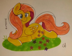 Size: 2523x1982 | Tagged: safe, artist:shinypikachu25, fluttershy, g4, female, solo