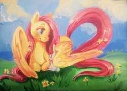 Size: 3630x2616 | Tagged: safe, artist:corelle-vairel, angel bunny, fluttershy, rabbit, g4, acrylic painting, canvas, cloud, cropped, duo, flower, flower in hair, grass, high res, lying, lying down, raised tail, traditional art, wing blanket