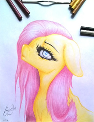 Size: 1378x1791 | Tagged: safe, artist:br333, fluttershy, pony, g4, bust, colored pencil drawing, female, floppy ears, looking at you, mare, pencil, photo, portrait, profile, solo, traditional art