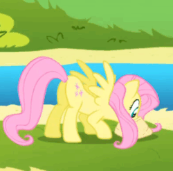 Size: 276x272 | Tagged: safe, screencap, fluttershy, pegasus, pony, g4, griffon the brush off, season 1, animated, butt, cropped, cute, female, flutterbutt, mare, plot, shyabetes, smiling, solo