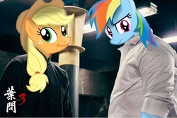 Size: 1536x1026 | Tagged: safe, edit, applejack, rainbow dash, g4, chinese, ip man