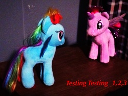 Size: 3264x2448 | Tagged: safe, rainbow dash, twilight sparkle, g4, high res, irl, photo, plushie, ty