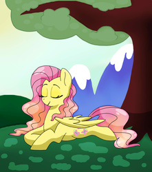 Size: 1936x2192 | Tagged: safe, artist:broohan, fluttershy, g4, female, solo, tree
