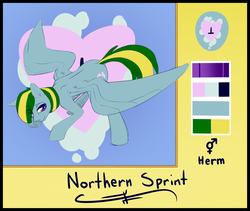 Size: 1280x1081 | Tagged: safe, artist:northernsprint, oc, oc only, oc:northern sprint, pegasus, pony, explicit source, reference sheet