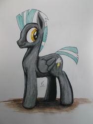 Size: 3216x4288 | Tagged: safe, artist:scribblepwn3, thunderlane, pegasus, pony, g4, male, pen drawing, solo, traditional art, watercolor painting