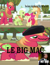 Size: 614x800 | Tagged: safe, edit, edited screencap, screencap, apple bloom, applejack, big macintosh, granny smith, earth pony, pony, g4, image macro, male, meme, pulp fiction, stallion