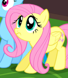 Size: 287x331 | Tagged: safe, screencap, fluttershy, pinkie pie, rainbow dash, earth pony, pegasus, pony, g4, mmmystery on the friendship express, :o, animated, anxiety, cute, female, frown, mare, open mouth, scared, shyabetes, smiling, varying degrees of want, wide eyes