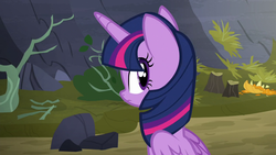 Size: 1280x720 | Tagged: safe, screencap, twilight sparkle, alicorn, pony, g4, the hooffields and mccolts, female, looking back, mare, solo, twilight sparkle (alicorn)