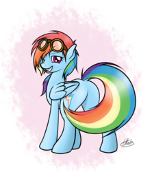 Size: 1064x1200 | Tagged: safe, artist:ethaes, rainbow dash, pegasus, pony, g4, butt, dock, featureless crotch, female, goggles, looking at you, looking back, mare, one eye closed, plot, smiling, solo, wink