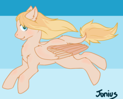 Size: 1000x800 | Tagged: safe, artist:vetiverpon, pegasus, pony, solo